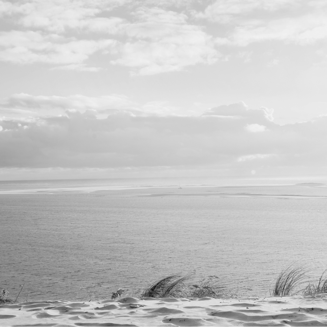 Le droit de l’environnement et l’Europe : quelle réponse judiciaire ?