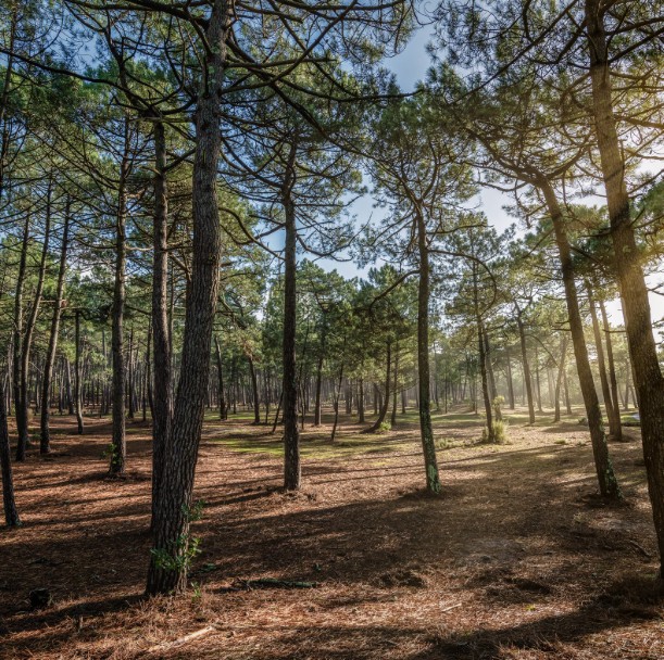 Permanence juridique dédiée au droit de l’environnement