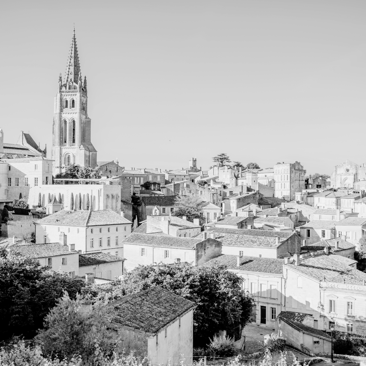 Rencontres pluridisciplinaires : Avocats & Notaires