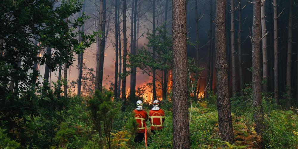 Mobilisation des avocats pour les sinistrés des incendies en Gironde